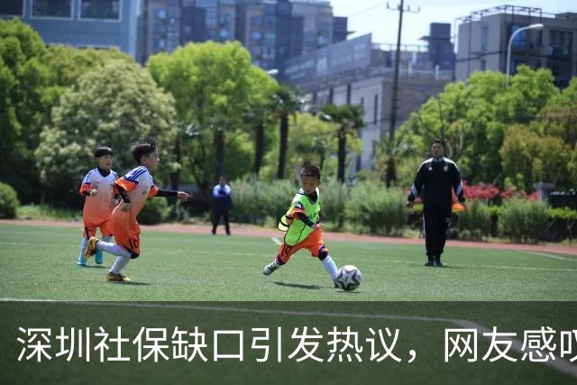 深圳社保缺口引发热议，网友感叹无奈